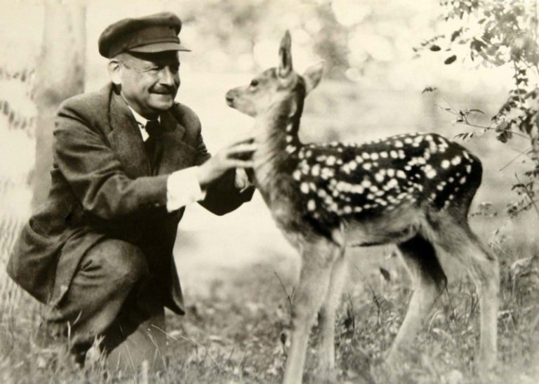 Prof. Tadas Ivanauskas – neabejotinas ornitologijos mokslo ir paukščių apsaugos pradininkas Lietuvoje