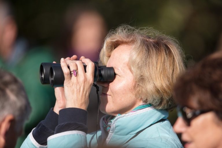 „Paukščių palydos – 2017“. Išvyka į Baltosios Vokės žuvininkystės tvenkinius  (Laisvų vietų nebėra )