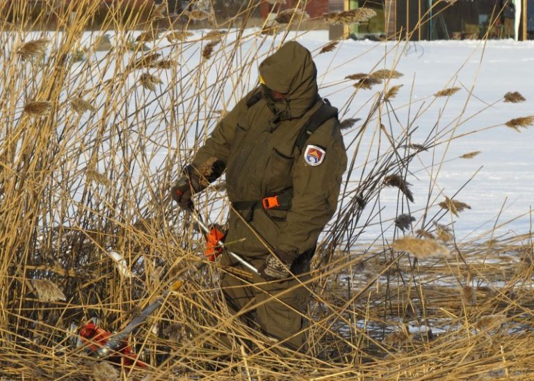 Sausio 13 d. Kalvių karjere buvo tvarkomos paukščių salos