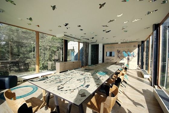 Išlydėkime paukščius prie didžiausių Dzūkijos ežerų