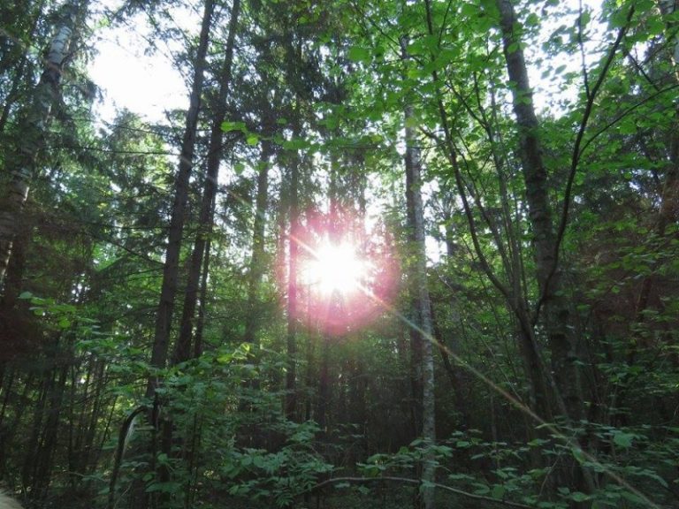 Kas būna kai 24 valandas praleidi gamtoje?