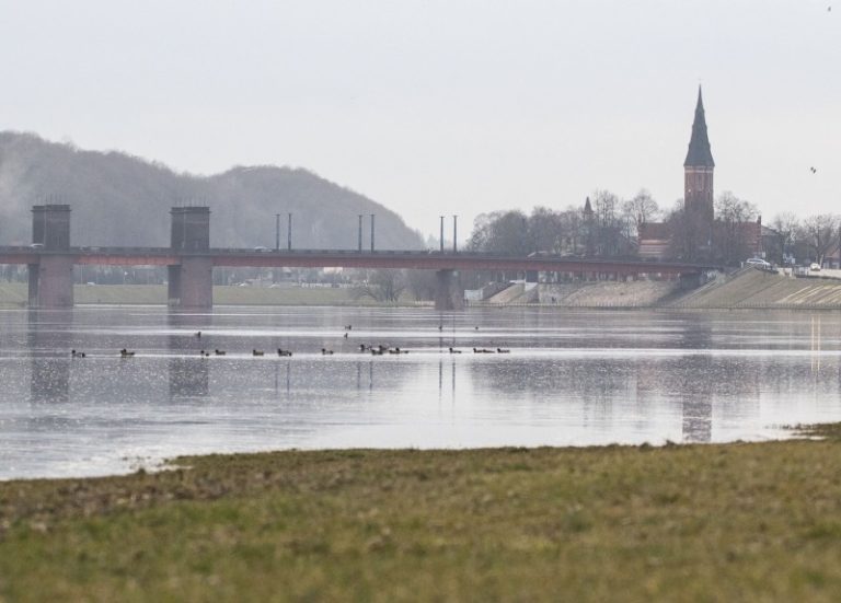 Savaitgalį Kaune vyko 4P kursai, skirti kirų identifikacijai ir pasiruošimui ŽVPA