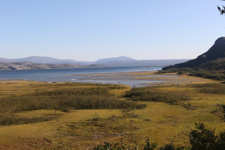 Išsaugant mažąsias žąsis: tarp perimviečių Norvegijoje ir migracinių sustojimo vietų Nemuno deltoje