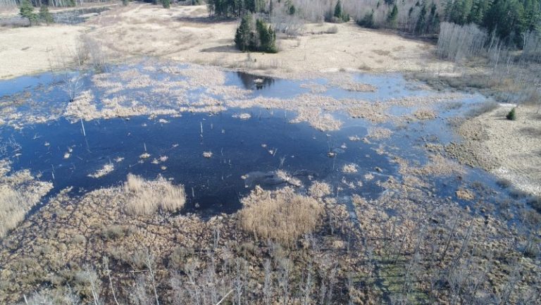 LPPA darbai tęsiami