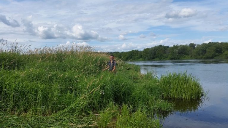 Salose atliekami gamtotvarkos darbai