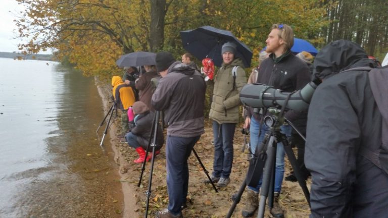 Savaitgalį Metelių regioniniame parke palydėjome išskrendančius paukščius