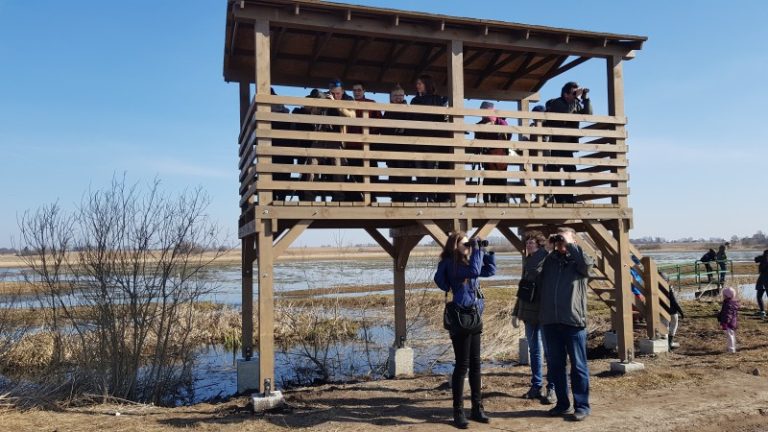 Žuvinte pasitikome sugrįžusius paukščius