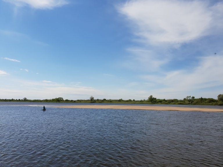 Aptartos salų formavimo galimybės Nemuno žemupyje