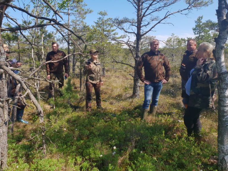 Miškotvarkos projekto aptarimas Svencelės pelkėje