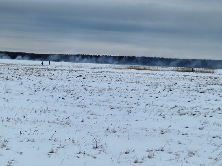 Kretuono ežero salose įvyko gamtotvarkos darbai