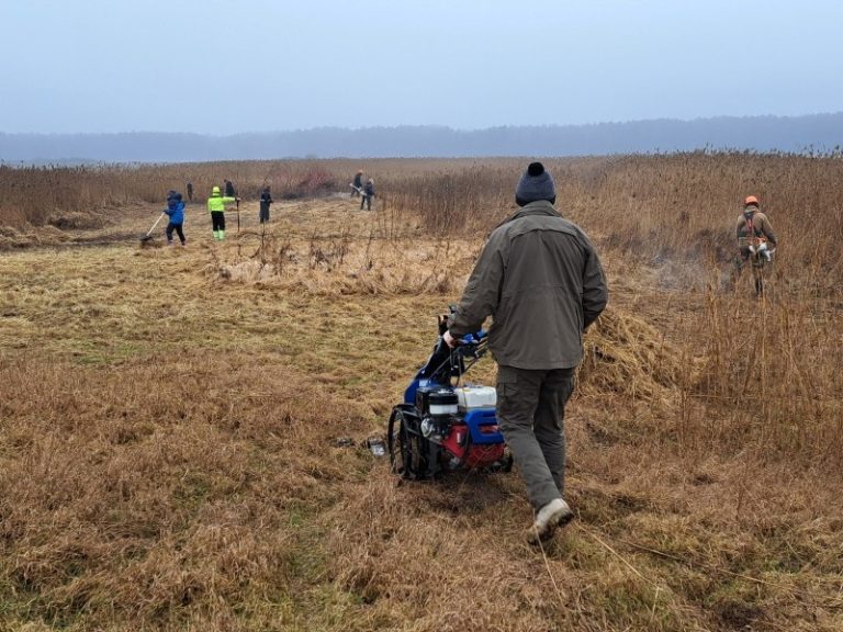 Gamtotvarkos darbai – upinėms žuvėdroms