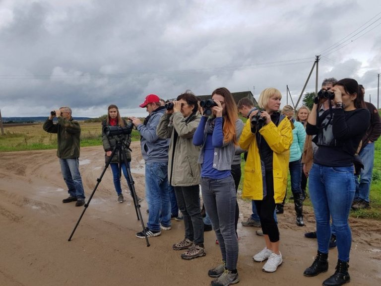 Savaitgalį Žuvinto apylinkėse palydėjome išskrendančius paukščius