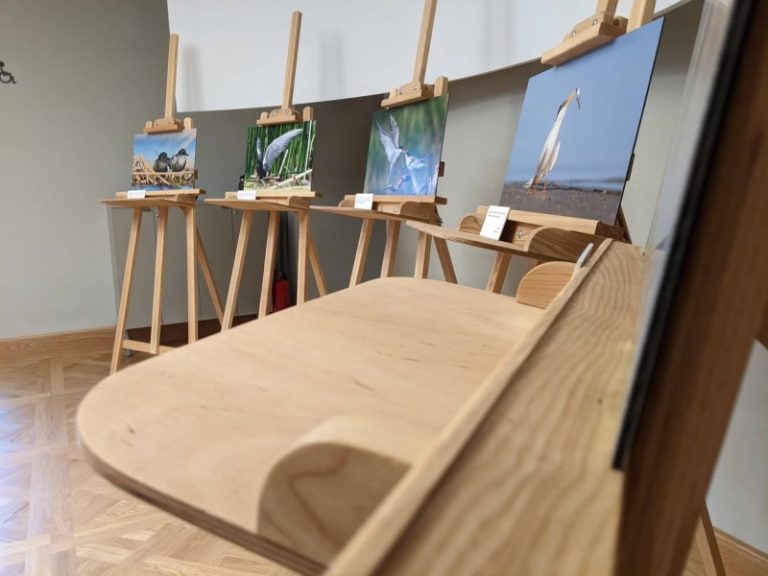 Pavilnių ir Verkių regioninių parkų direkcijoje  vyksta paroda „Žuvėdros – grakščiosios šaudyklės“