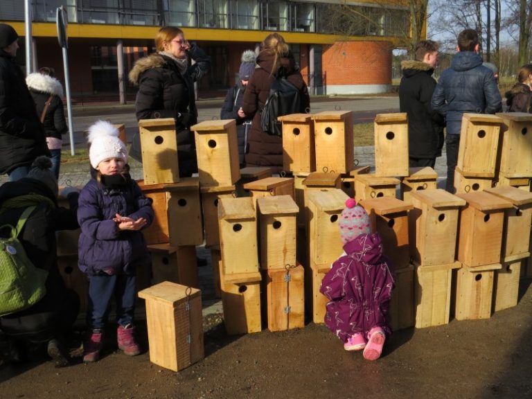 Klaipėdoje iškelta 150 inkilų juodiesiems čiurliams