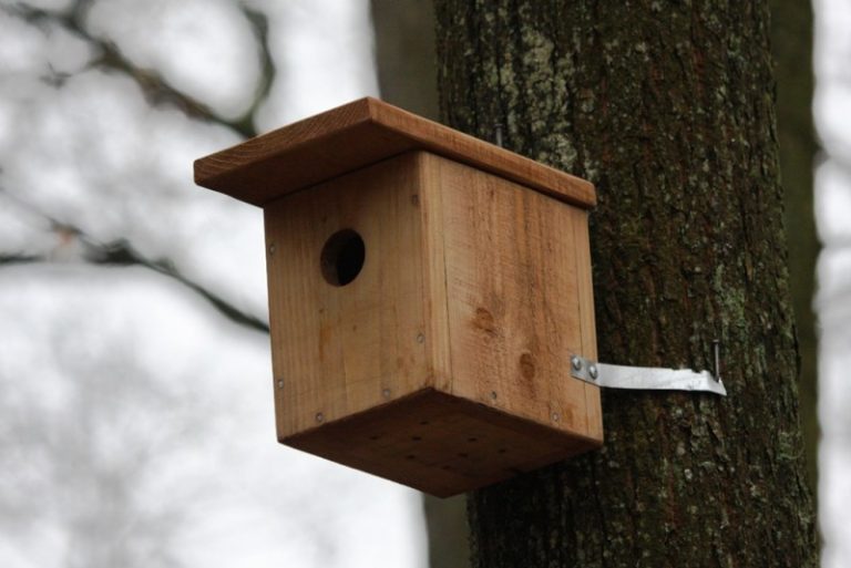 Gruodžio 3 dieną  susitikime Verkių parko ornitologiniame take