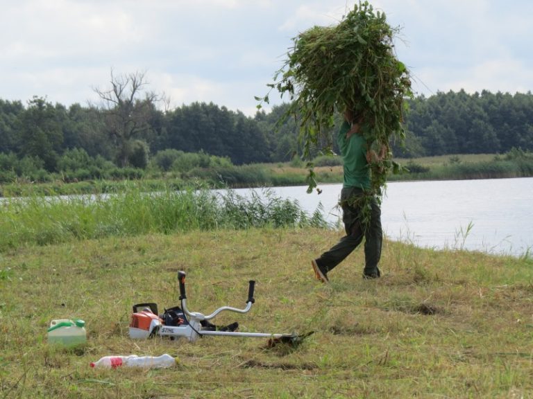 Sutvarkytos paukščiams svarbios salos Nemuno deltoje