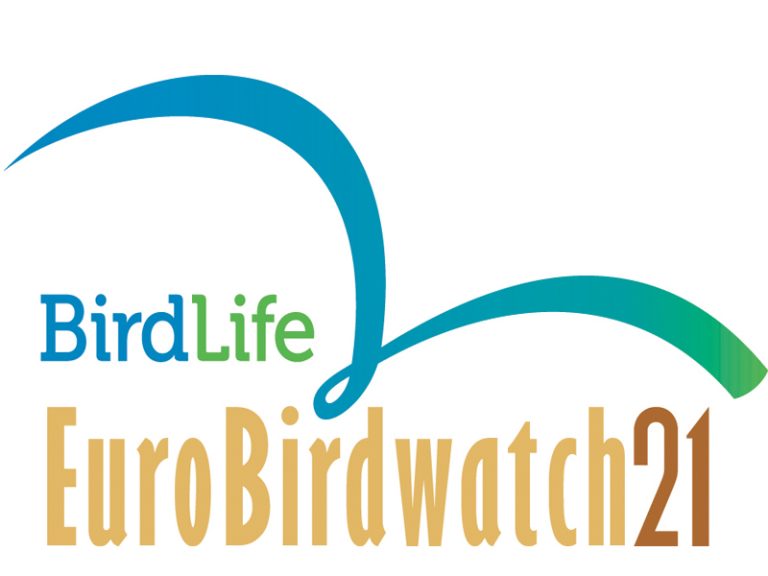 Dalyvaukite – Paukščių palydose! (atnaujinta)