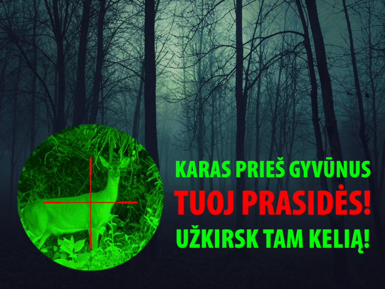 Šernų genocidą keis visuotinis karas prieš žvėris?