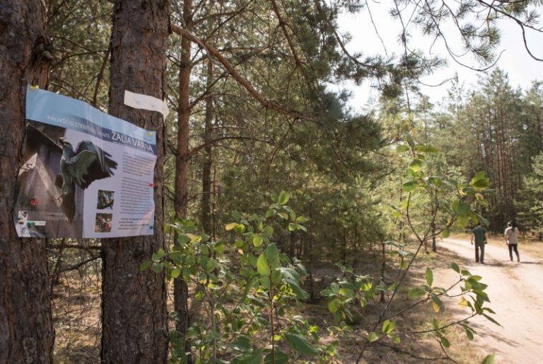 Savaitgalį vyko renginys „Žalia varna 2019“