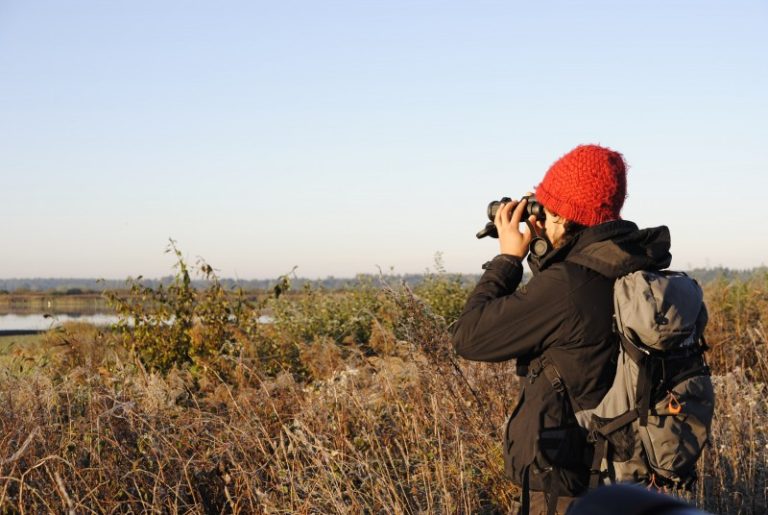 Pasitikime paukščius Nemuno deltos užliejamose pievose