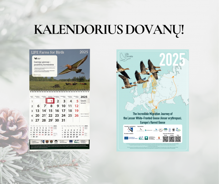 Draugijos nariams ir partneriams – kalendorius dovanų!