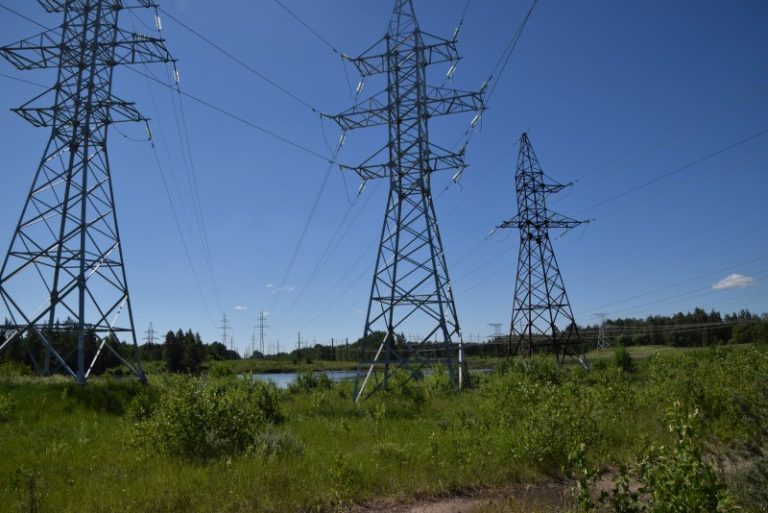Atsakingas elektros perdavimo tinklų operatorių požiūris išgelbėjo žuvininkų lizdą su jaunikliais
