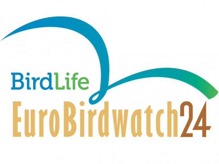 Dalyvaukite, organizuokite, stebėkite masiškiausiame Metų ornitologijos įvykyje – Paukščių palydose! 2024 m.