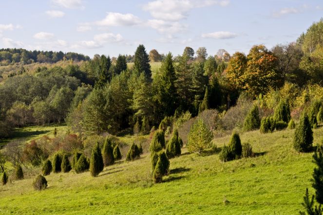 Lietuvos gamtos fondas kviečia Biologinės įvairovės dieną švęsti visų rūšių ralyje