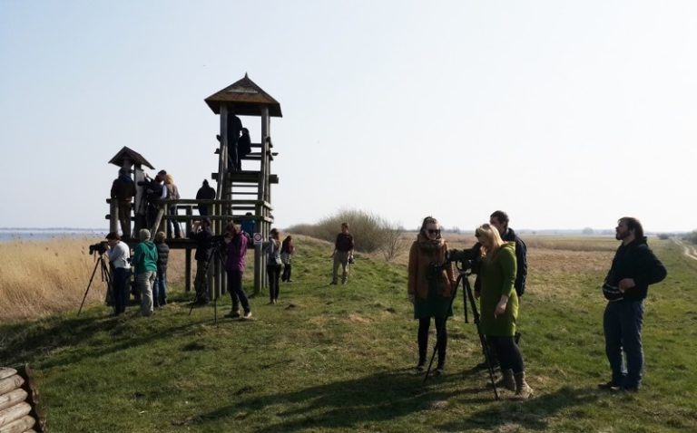 Norėtumėte išmokti atpažinti paukščius gamtoje?