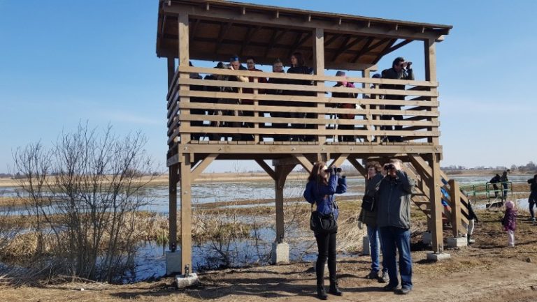 Paukščių stebėjimo bokšteliuose varžybos vyks gegužės 4 d.