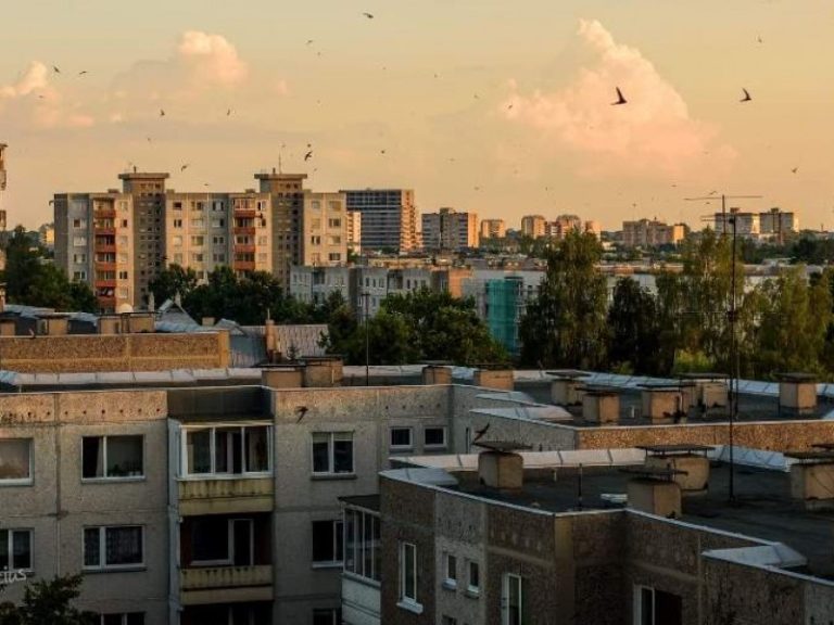 Daugiabučių renovacija – galimybė išsaugoti miestams svarbius paukščius