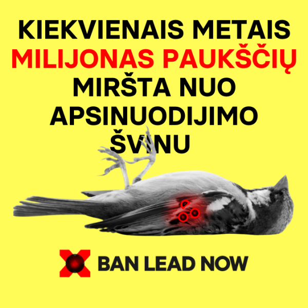 Peticija prieš švino naudojimą Europoje