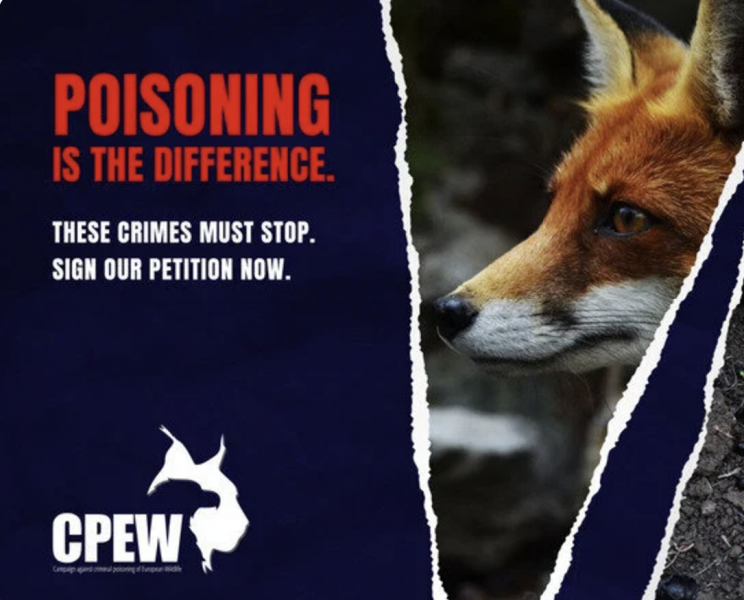 Kviečiame pasirašyti peticiją prieš nusikalstamą Europos laukinės gamtos nuodijimą