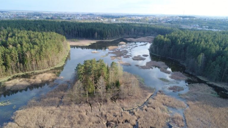 Pajuodupio pelkė išvengs suniokojimo
