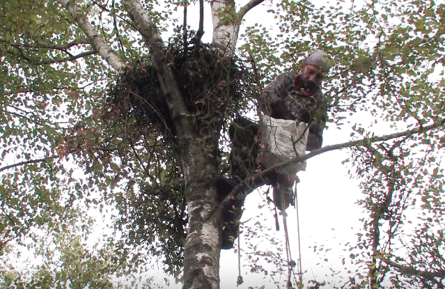 Didžiųjų erelių rėksnių valdas aplankius (video reportažas)