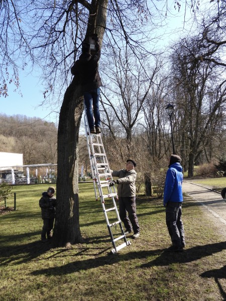 Bernardinų sode vyko inkilų valymo talka
