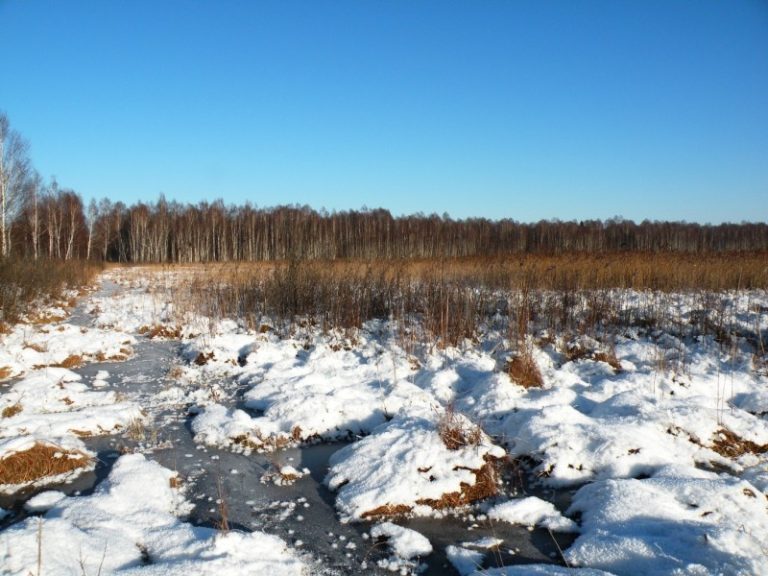 Vasario 2-oji – Pasaulinė pelkių diena