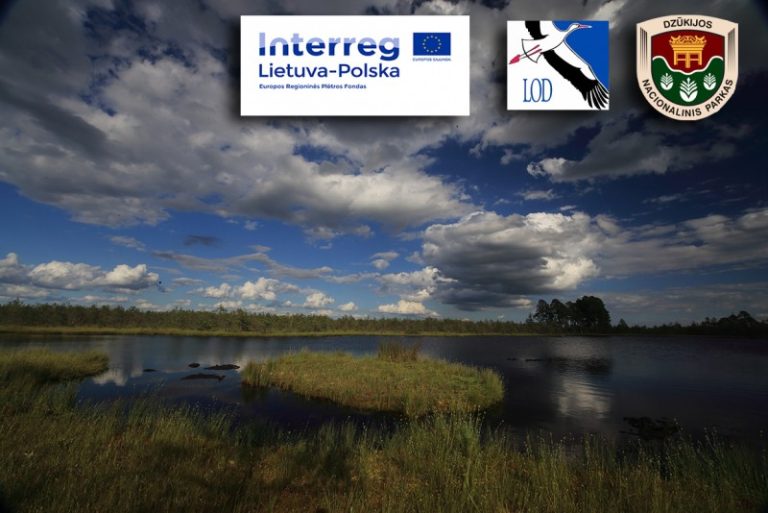 Dzūkijoje pasitikome sugrįžusius paukščius