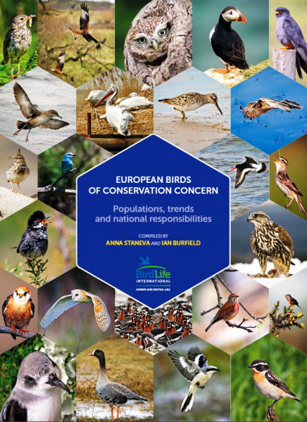 BirdLife International paskelbė saugomų europinės svarbos rūšių apžvalgą