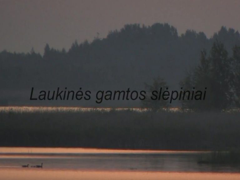 Naujas filmas apie Dzūkijos laukinės gamtos vertybes