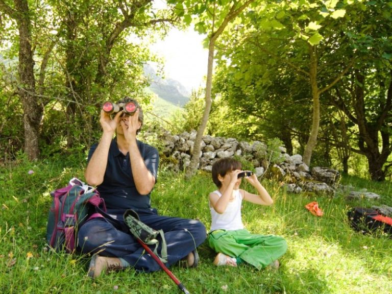 Kviečiame sudalyvauti apklausoje