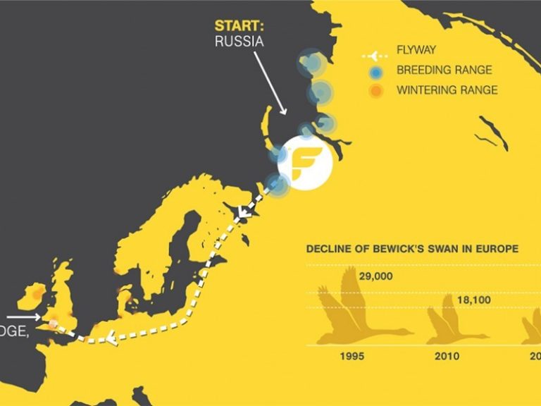 SEKITE UNIKALIĄ GAMTOSAUGINĘ EKPEDICIJĄ „GULBIŲ SKRYDIS”: PARASPARNIU PASKUI MAŽĄJĄ GULBĘ (atnaujinta 2016-09-20)