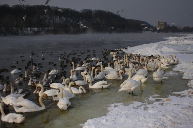 Vyko seminarai Baltarusijoje