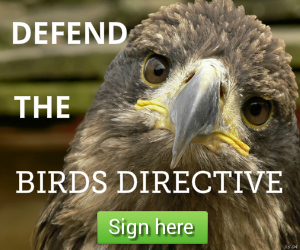 PASKUTINĖ GALIMYBĖ PASISAKYTI UŽ EUROPOS GAMTOS IŠSAUGOJIMĄ