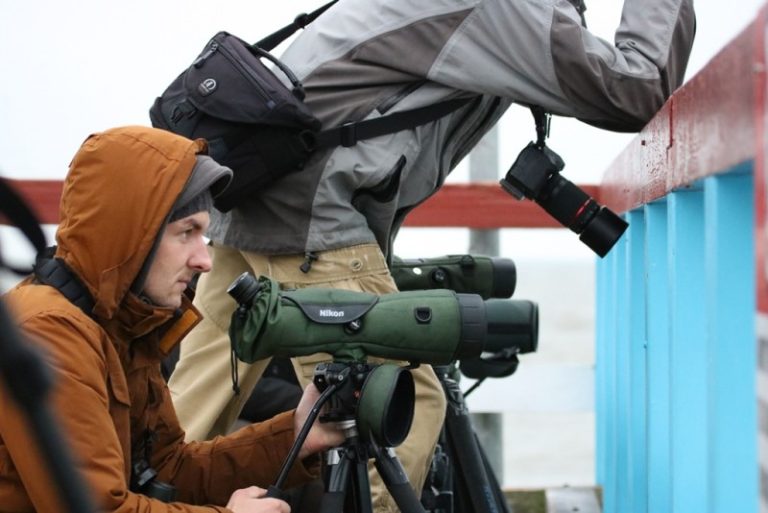 Praėjusį savaitgalį Lietuvos ir užsienio ornitologai varžėsi paukščių ralyje 2017