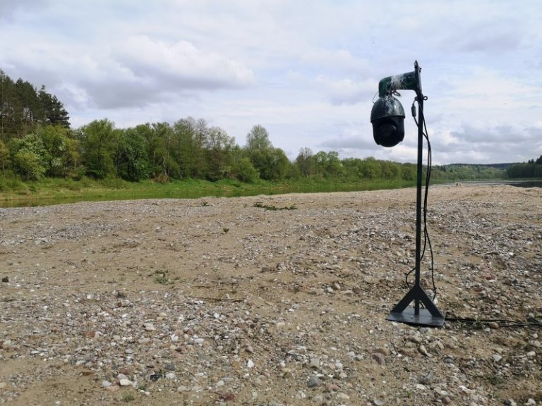 Pradedama tiesioginė transliacija iš žuvėdrų kolonijos