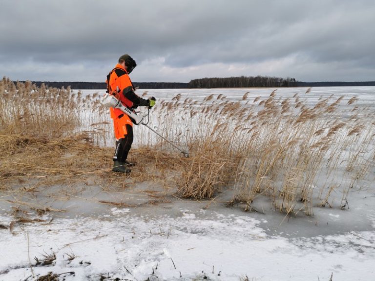 Tvarkoma Kretuono Didžioji sala