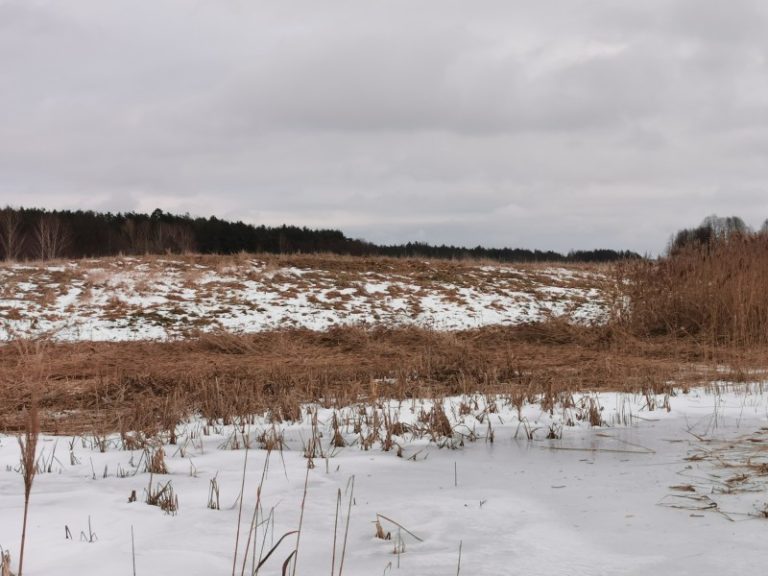 Niedaus ežerų salose atlikti buveinių tvarkymo darbai