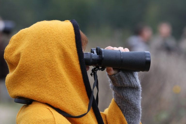 „Paukščių palydos – 2016“. Išvyka į Daugų žuvininkystės tvenkinius