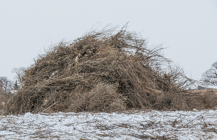 Perkamos sumedėjusios ir žolinės augalijos šalinimo paslaugos
